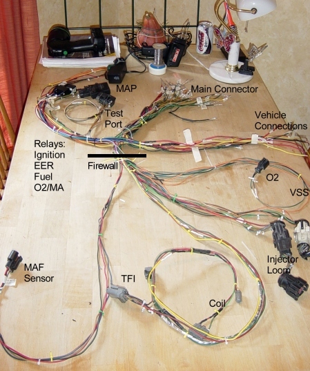 Create a Custom EFI Installation ez wiring harness 93 mustang 